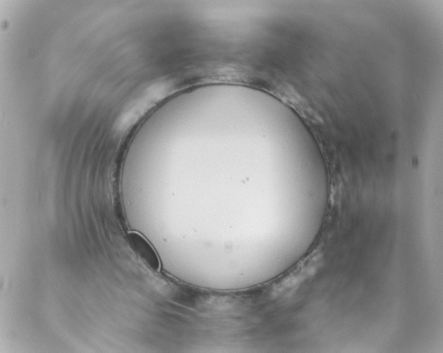 X0000088840341200706281827