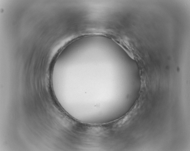 X0000088840342200706281827