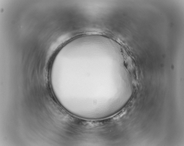 X0000088840343200706281827