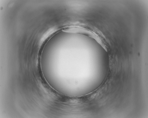 X0000088840344200706281827