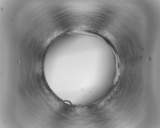 X0000088840345200706281827