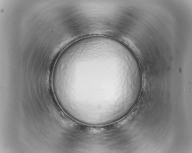 X0000088840346200706281827