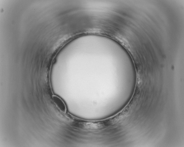 X0000088840347200706281827