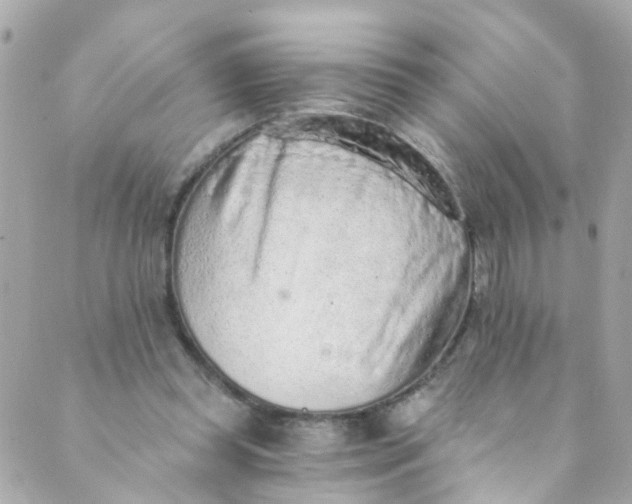 X0000088840349200706281827