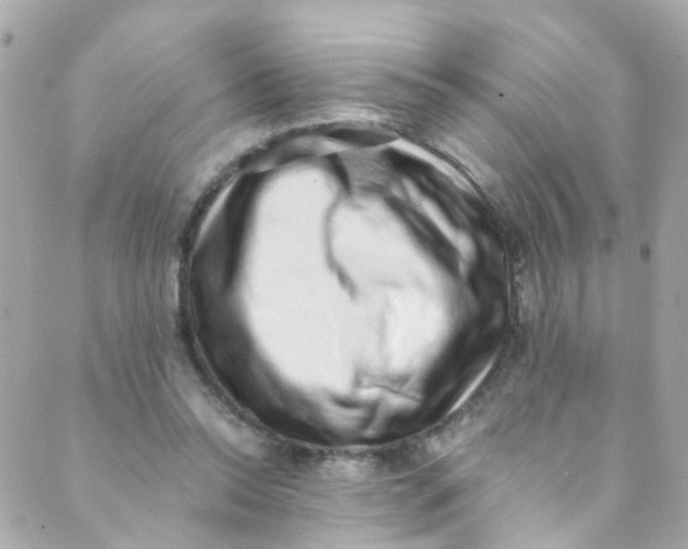 X0000088840350200706281827