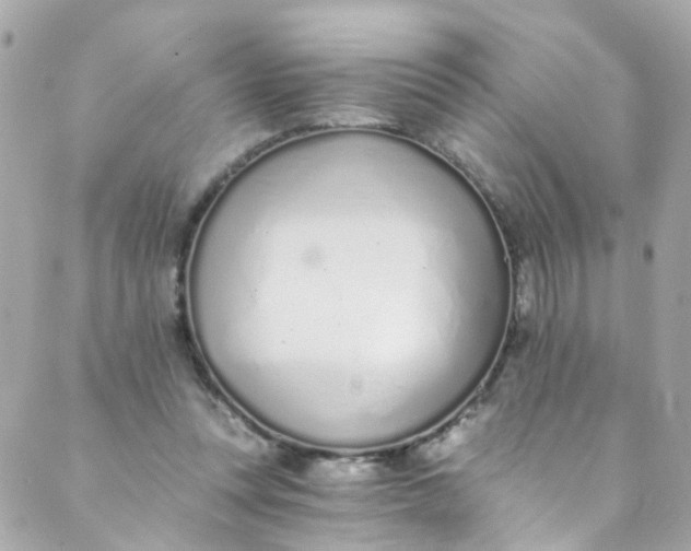 X0000088840351200706281827