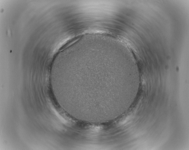 X0000088840352200706281827