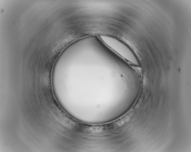 X0000088840353200706281827