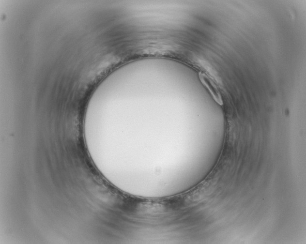 X0000088840354200706281827