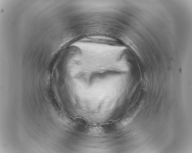 X0000088840355200706281827