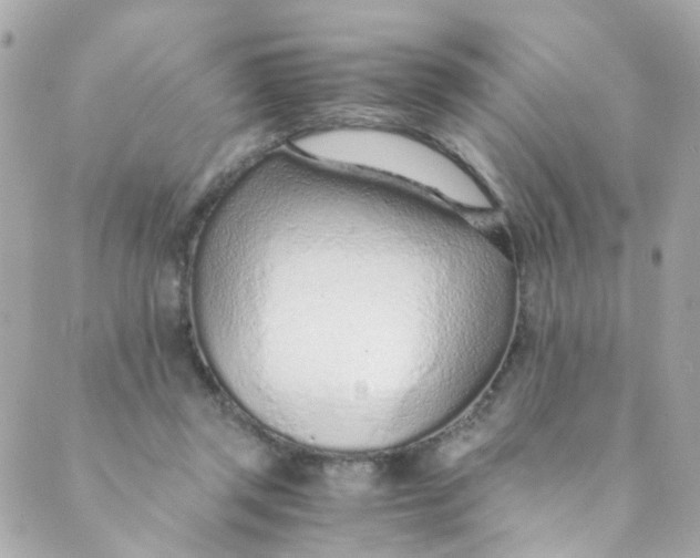 X0000088840357200706281827