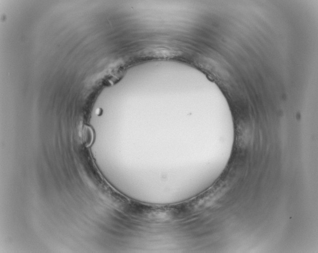 X0000088840358200706281827