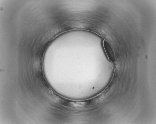 X0000088840359200706281827