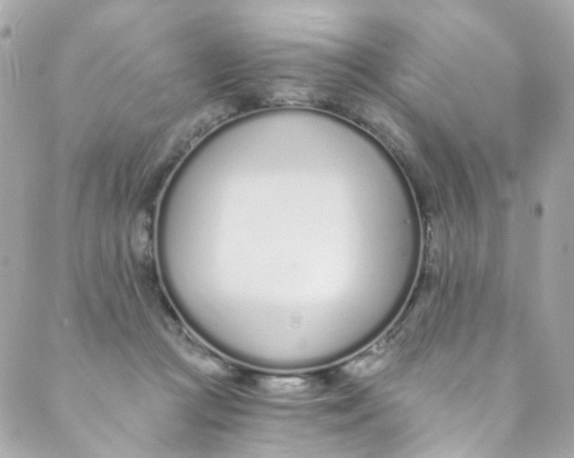 X0000088840361200706281827