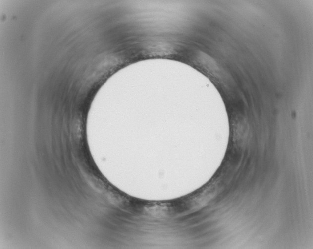 X0000088840362200706281827