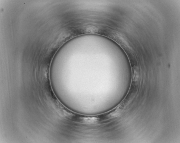 X0000088840363200706281827