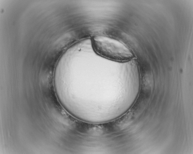 X0000088840364200706281827