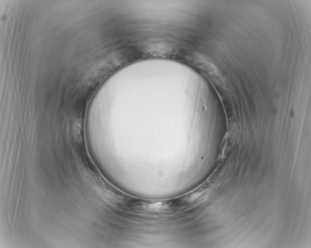 X0000088840365200706281827