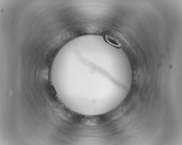 X0000088840368200706281827