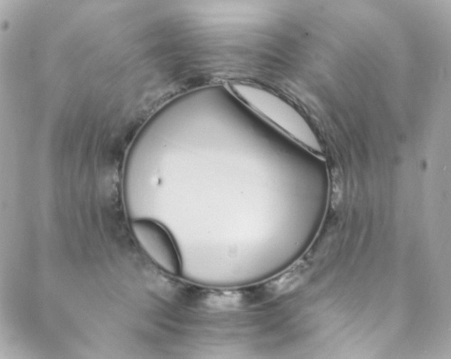 X0000088840369200706281827