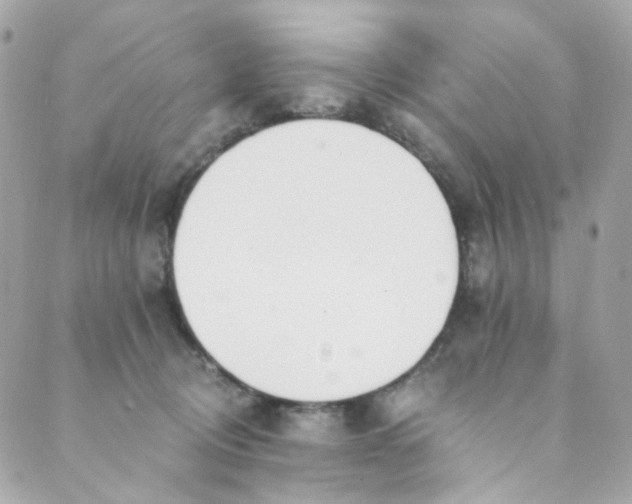 X0000088840370200706281827