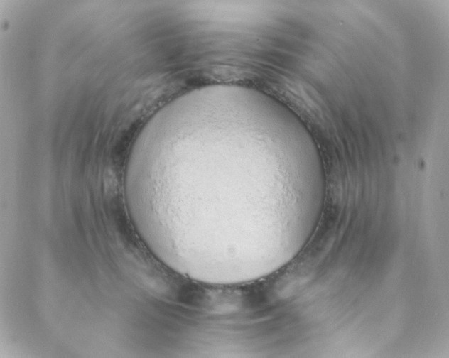 X0000088840371200706281827