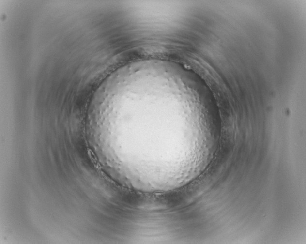 X0000088840372200706281827