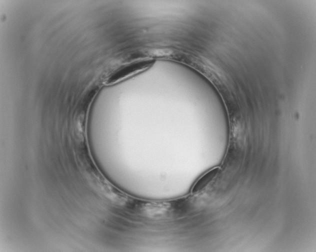 X0000088840373200706281827