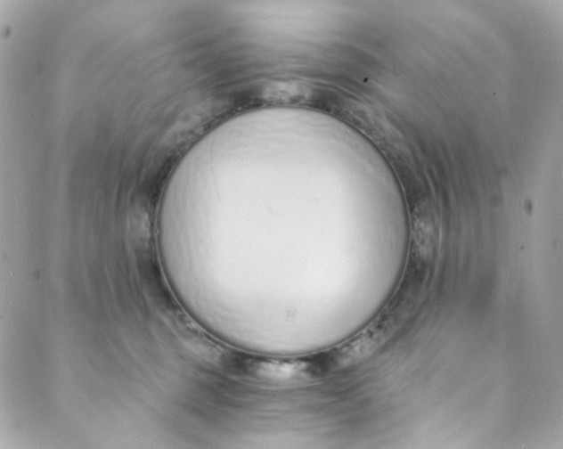 X0000088840375200706281827