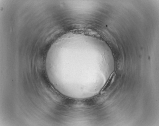 X0000088840376200706281827