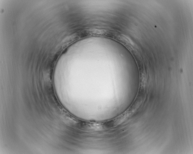 X0000088840377200706281827