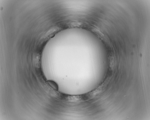 X0000088840378200706281827