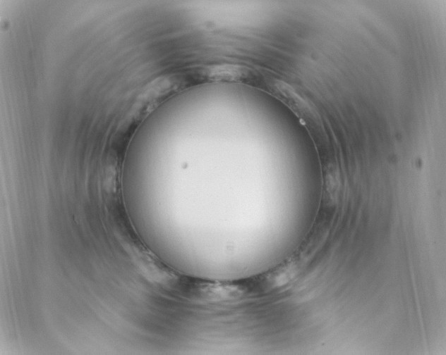 X0000088840379200706281827