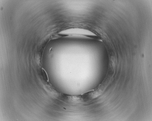 X0000088840380200706281827