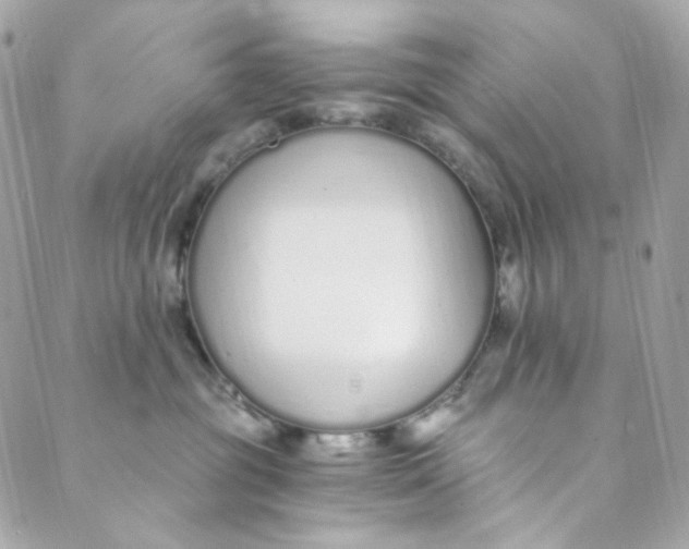 X0000088840381200706281827