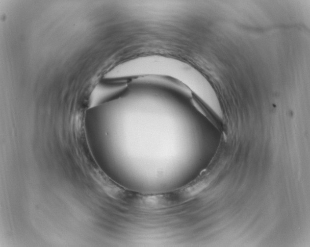 X0000088840382200706281827