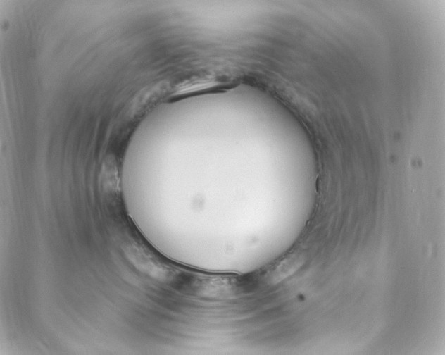 X0000088840384200706281827