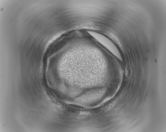 X0000088840388200706281827