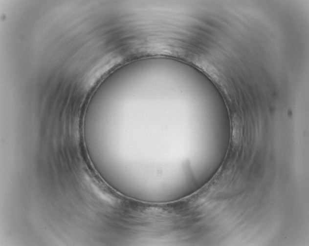 X0000088840390200706281827