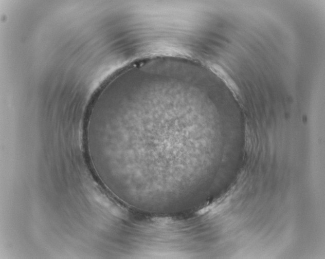 X0000088840391200706281827