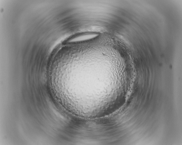 X0000088840392200706281827