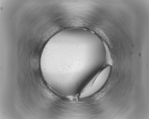 X0000088840393200706281827