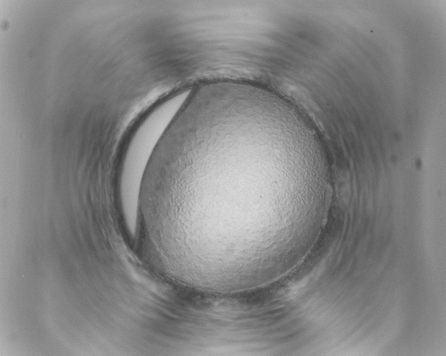 X0000088840395200706281827