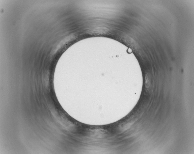 X0000088840396200706281827