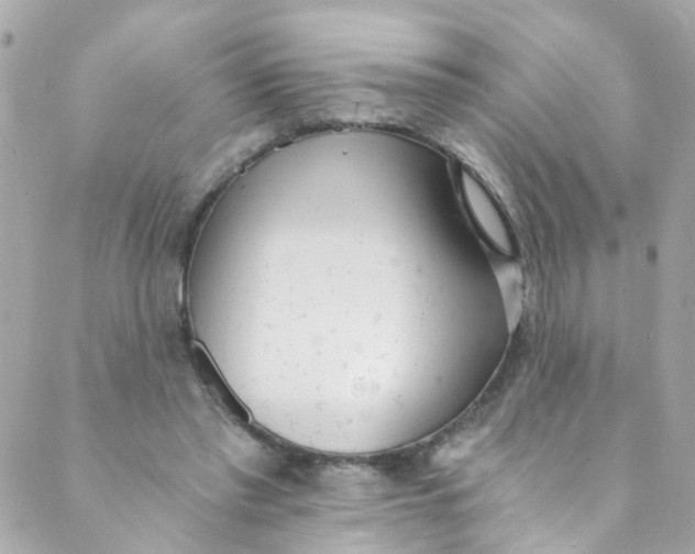 X0000088840397200706281827