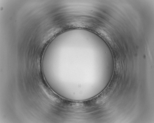 X0000088840398200706281826