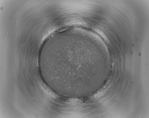 X0000088840399200706281826