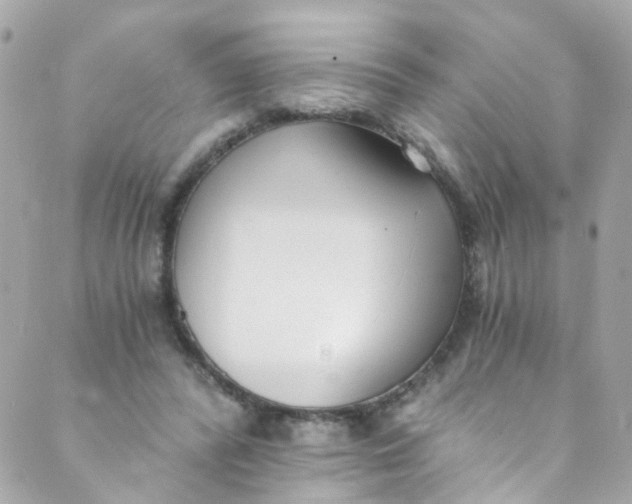 X0000088840400200706281826