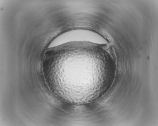 X0000088840401200706281826