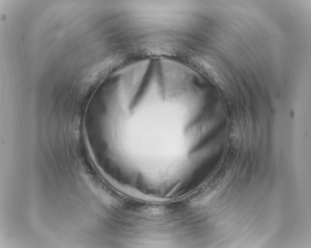 X0000088840402200706281826